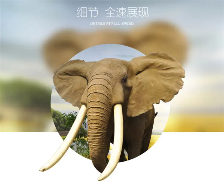 QQ20180714161136