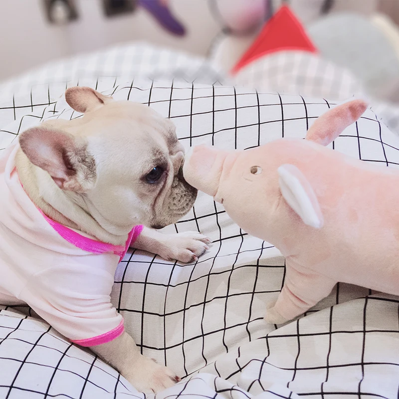 TB27o2rc6gy_uJjSZKbXXXXkXXa_!!58305263