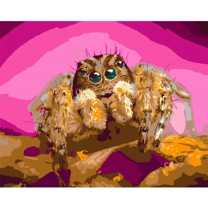 

Painting By Numbers DIY Dropshipping 40x50 50x65cm Dangerous spider essencer Animal Canvas Wedding Decoration Art picture Gift