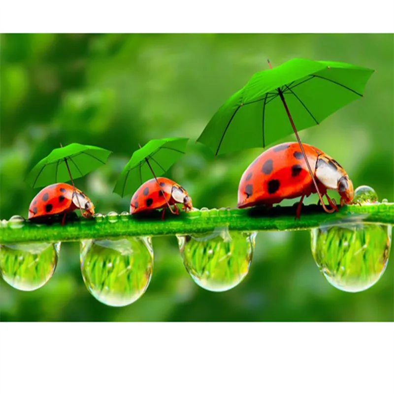 Diamond Embroidery 5D DIY Painting Ladybug and Green Leaves Cross Stitch Rhinestone Mosaic | Дом и сад