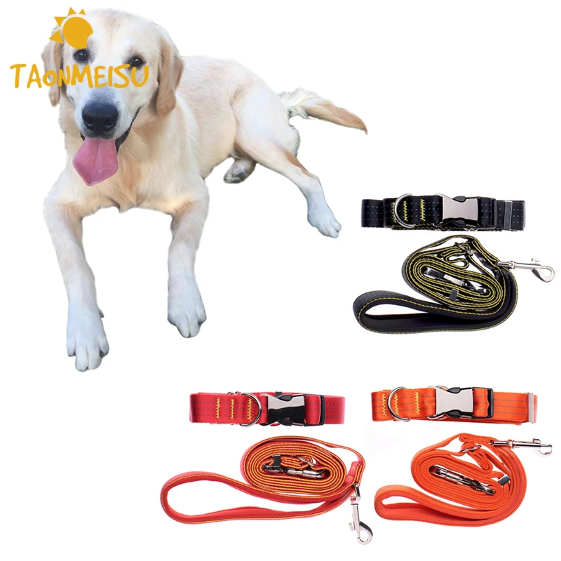 toy dog that walks on lead