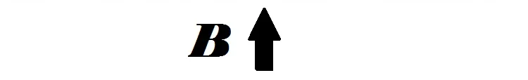B 2