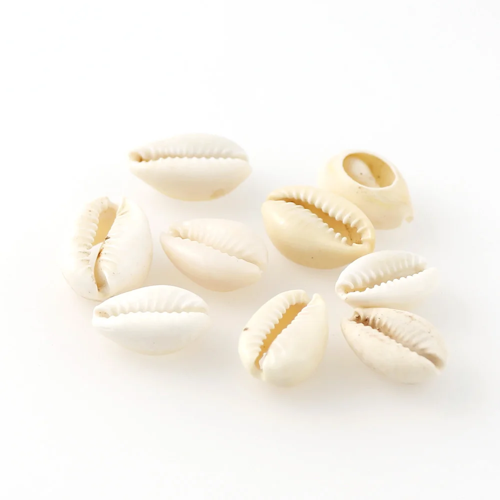20Pcs/bag 10-17cm Mix Gold Silver Plated Shell Natural Sea Shell For DIY Handmade Home Decoration