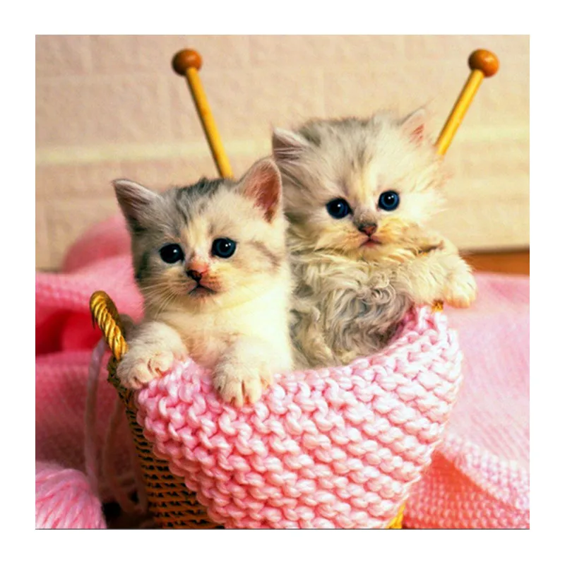 88 Gambar Mosaik Hewan Kucing HD Terbaik