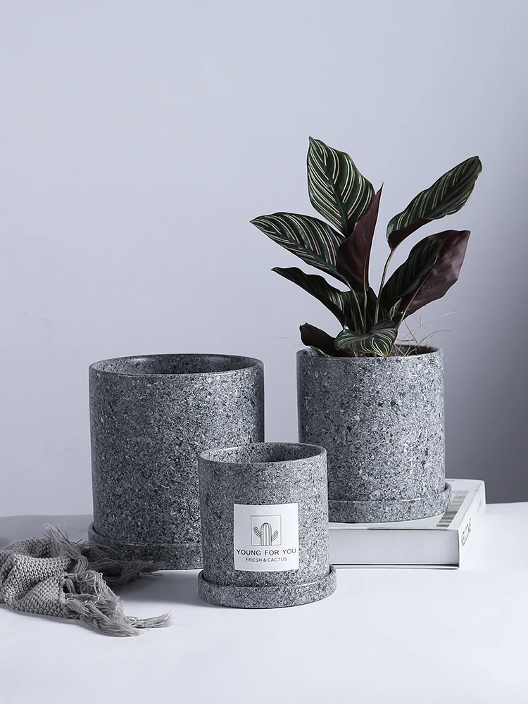 

Nordic Simple Solid Color Succulents Pot Plant Pot with Tray Ceramic Plant Pots Home Office Christmas New Year Decoration