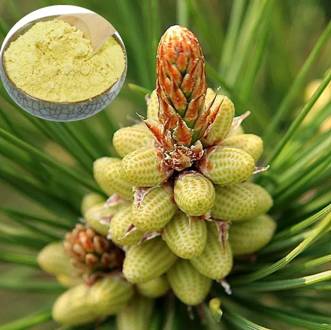 

100% Pine pollen powder Free Shipping