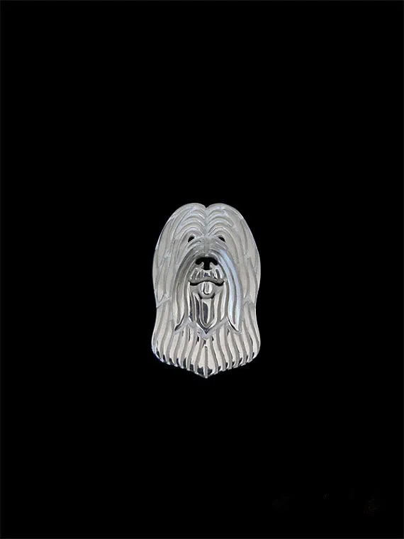 Briard (natural ears)2