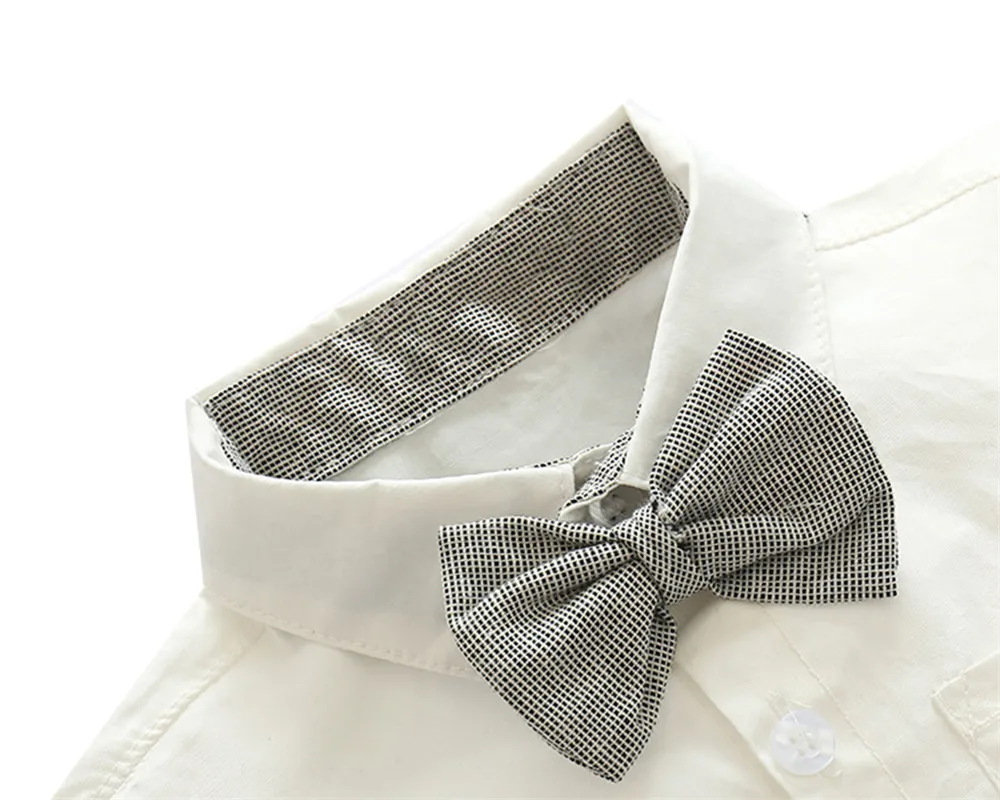 269325_no-logo_269325-1-08