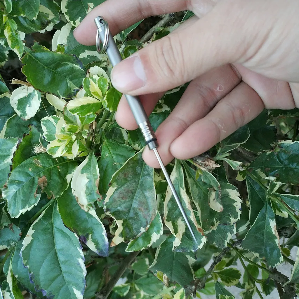 Открытый Pure titanium водостойкий зубочистка Multi-function Fruitpick держатель Чехол многоразовый переработанный открытый дорожные наборы 1j18