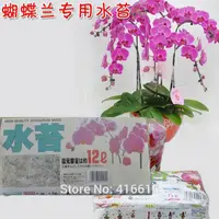 Высокое качество мох Сфагновый мохообразные фаленопсис Баттерфляй для всех видов Орхидея средней увлажняющее питание почвы 150 г/упак. - изображение