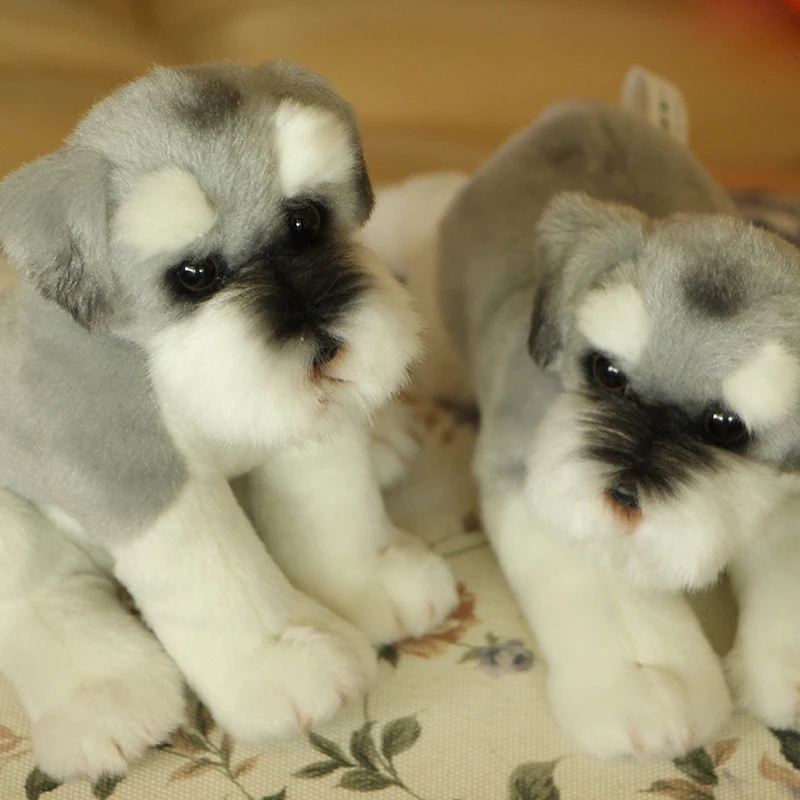 Simulation dog Schnauzer plush toy cartoon doll birthday gift for children gifts creative  decoration DY50295  (5)