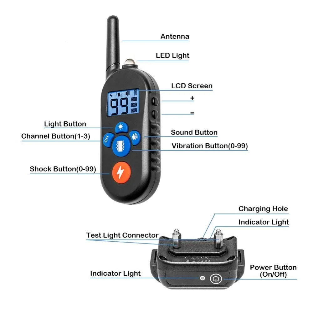 dog training collar (8)
