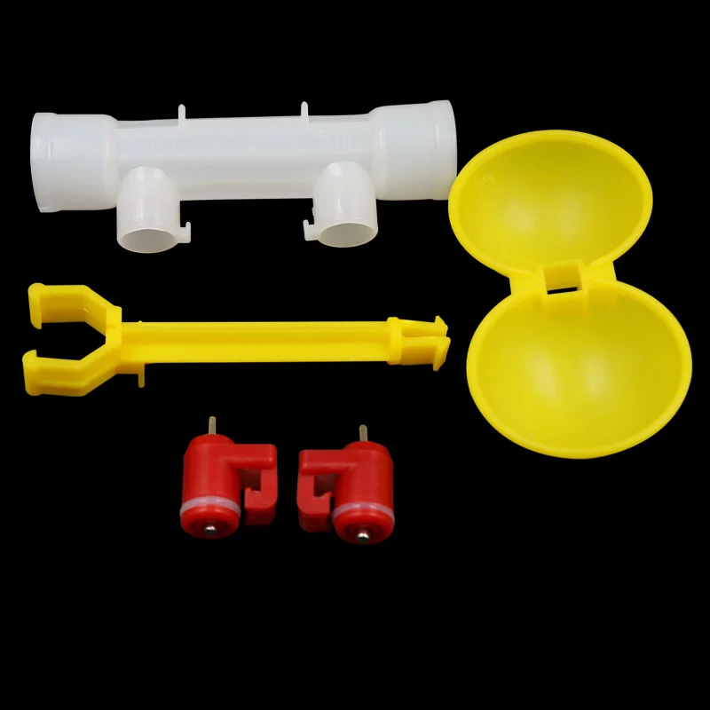 IMG_4788