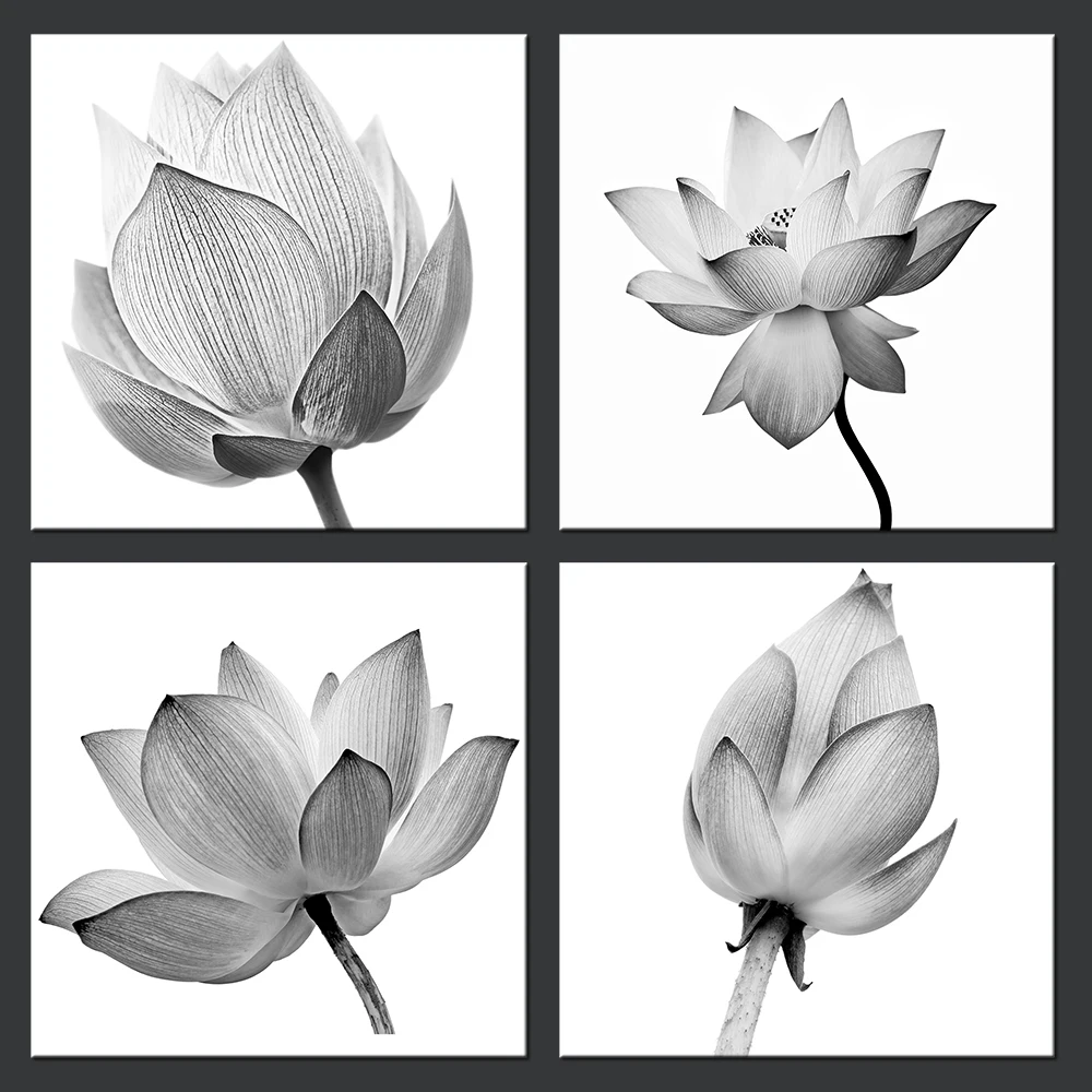 Us 3998 4 Panels Fiori Opere In Bianco E Nero Elegante Floreale Tela Stampa Artistica Fiore Di Loto Giglio Di Acqua Di Foto Incorniciata Di Arte