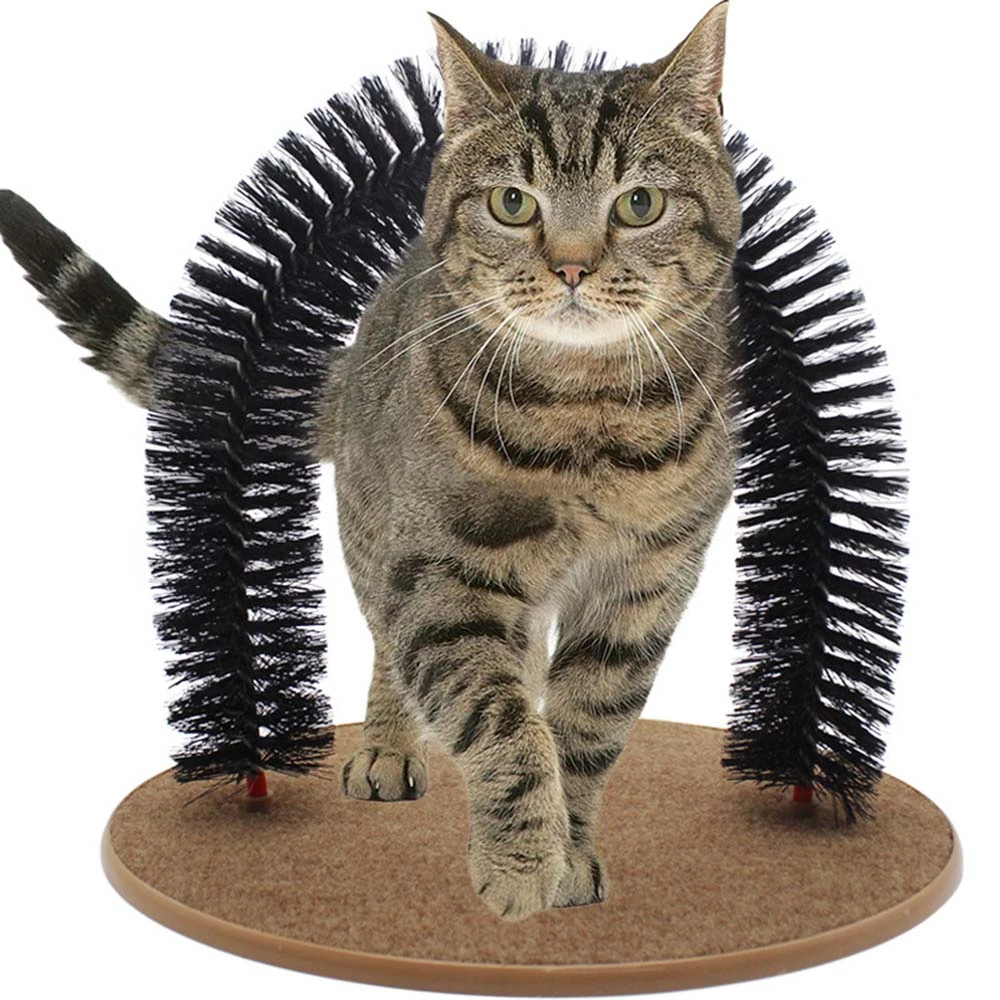 arched cat scratcher