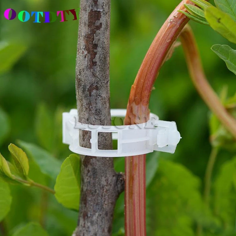 

OOTDTY 100Pcs Plant Vine Tomato Stem Clips Supports Connect to Trellis Twine Cages New