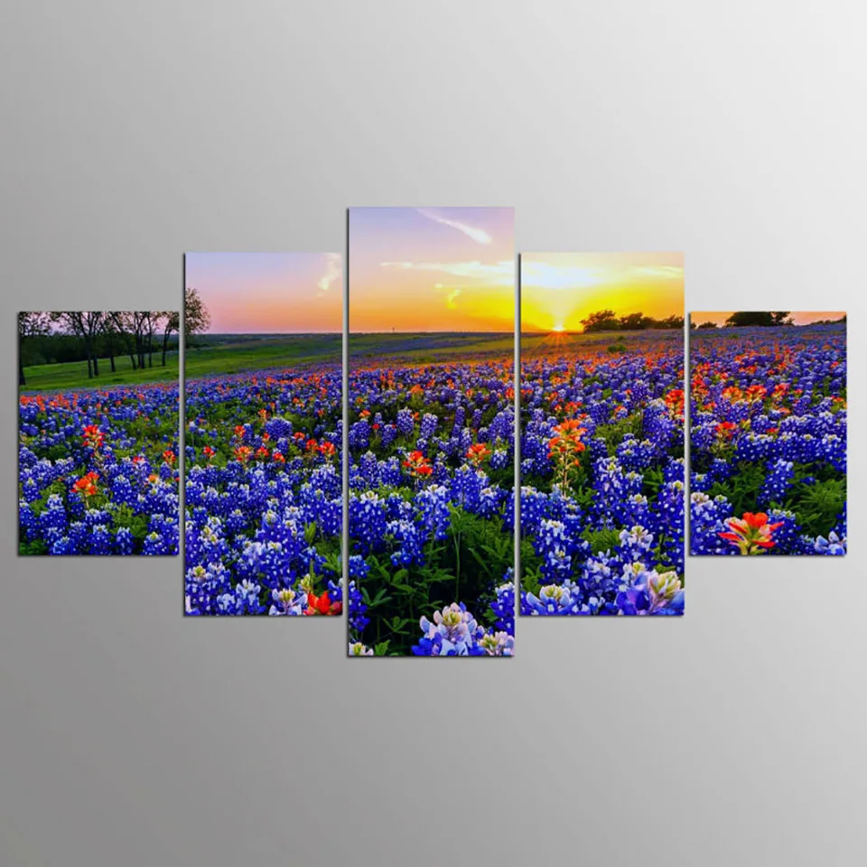 HTB1yBy1QVXXXXX3XVXXq6xXFXXXV