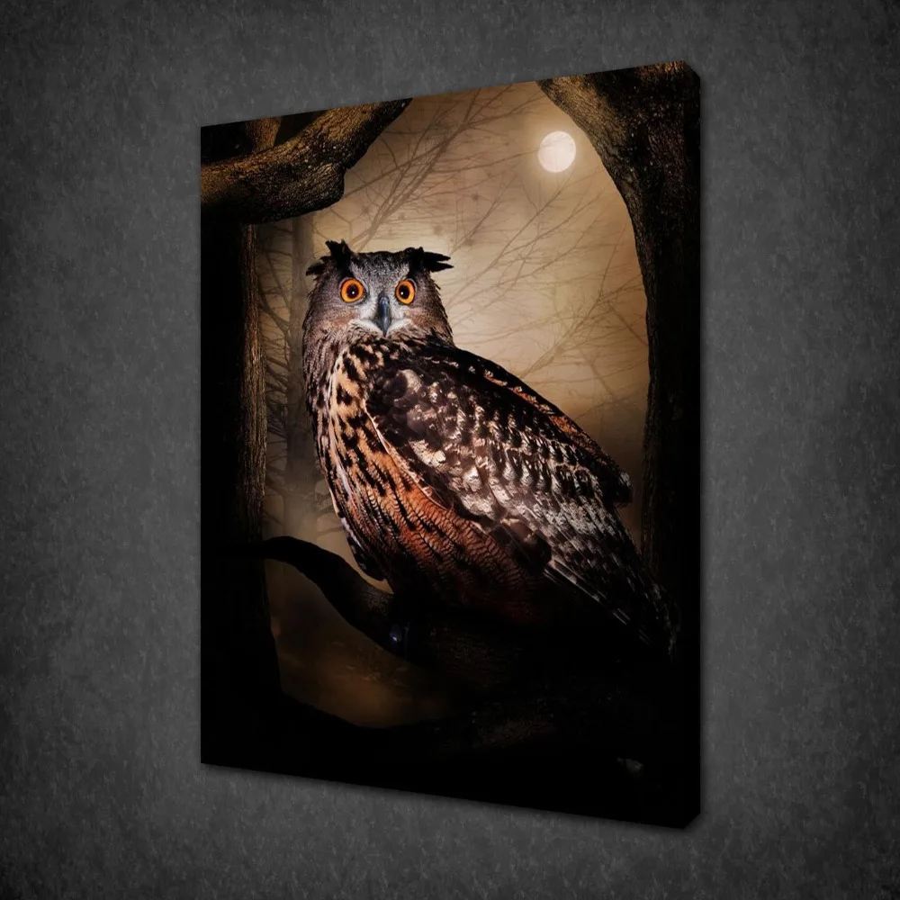 Large Canvas Pictures Arts Owl Wall Art Prints Canvas Print Pictures