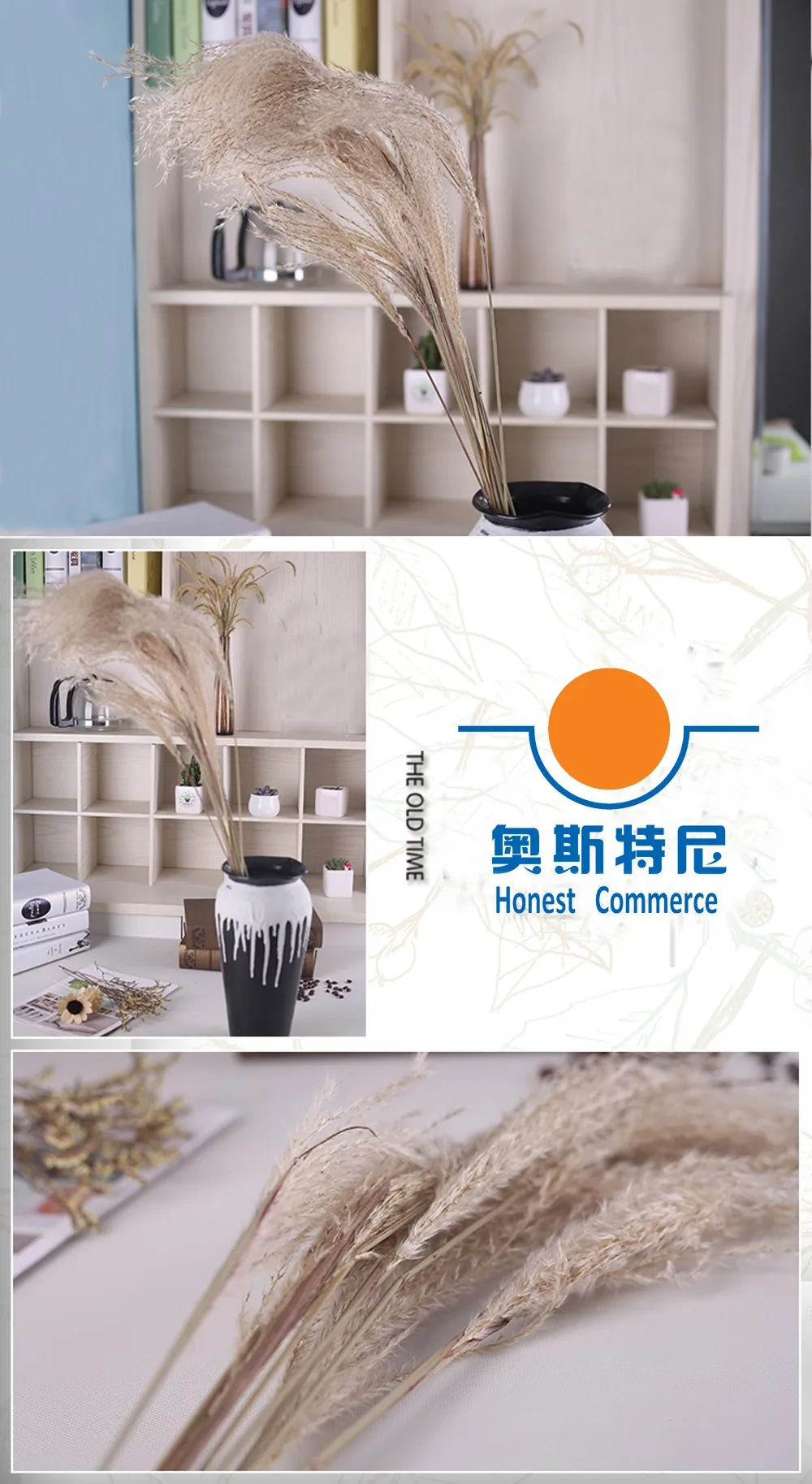 TB2Kf0WXhoa61Bjy0FaXXcHwpXa_!!2598904300