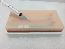 

vein Puncture Training model Exsanguinate training arm model free shipping