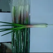 Имитационная модель Shallot Ложные весенние лук овощи ПУ Ambry украшены Ресторан украшения унисекс готовая пластиковая еда