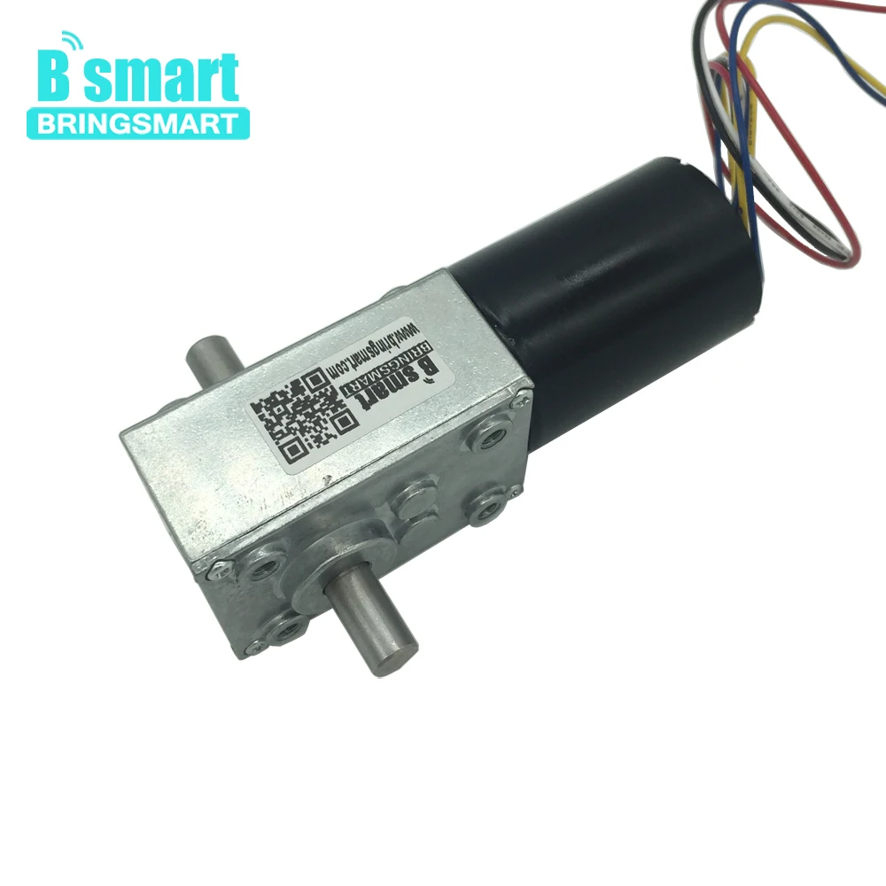 Bringsmart BLDC Motor 12V 24V Double Shaft Worm Gear Motor Mini Self locking Brake Brushless