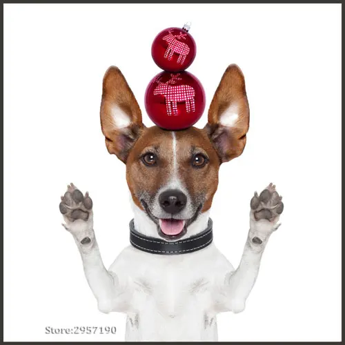 Funny Dog Wall Art Prints Pet Puppy Hipster Animals Canvas Wall