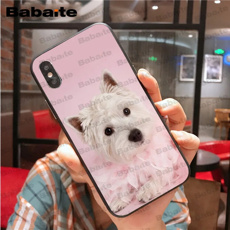 Westie dog