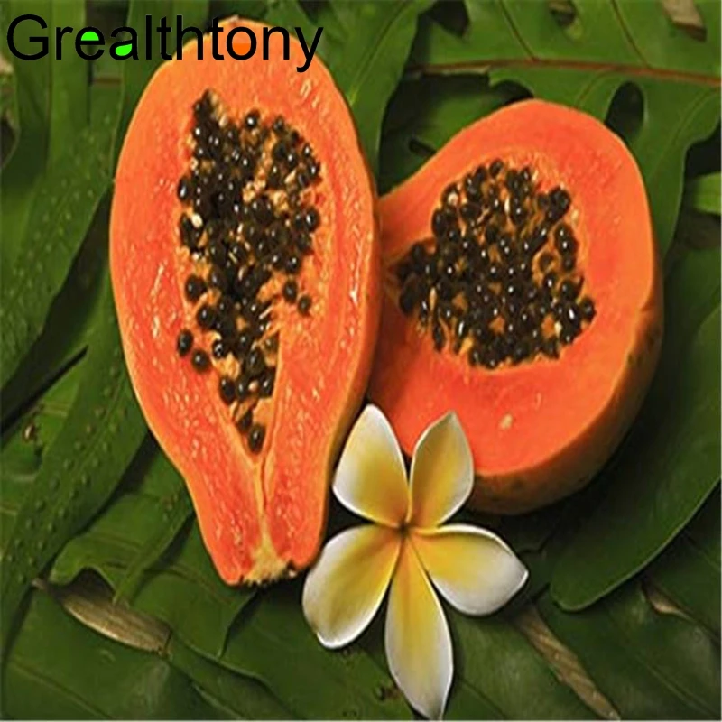 Растительные экстракты папайи, фруктовый сок, порошковый экстракт, не добавляющий питательных веществ, богатая красота, экстракт папайи 200 г