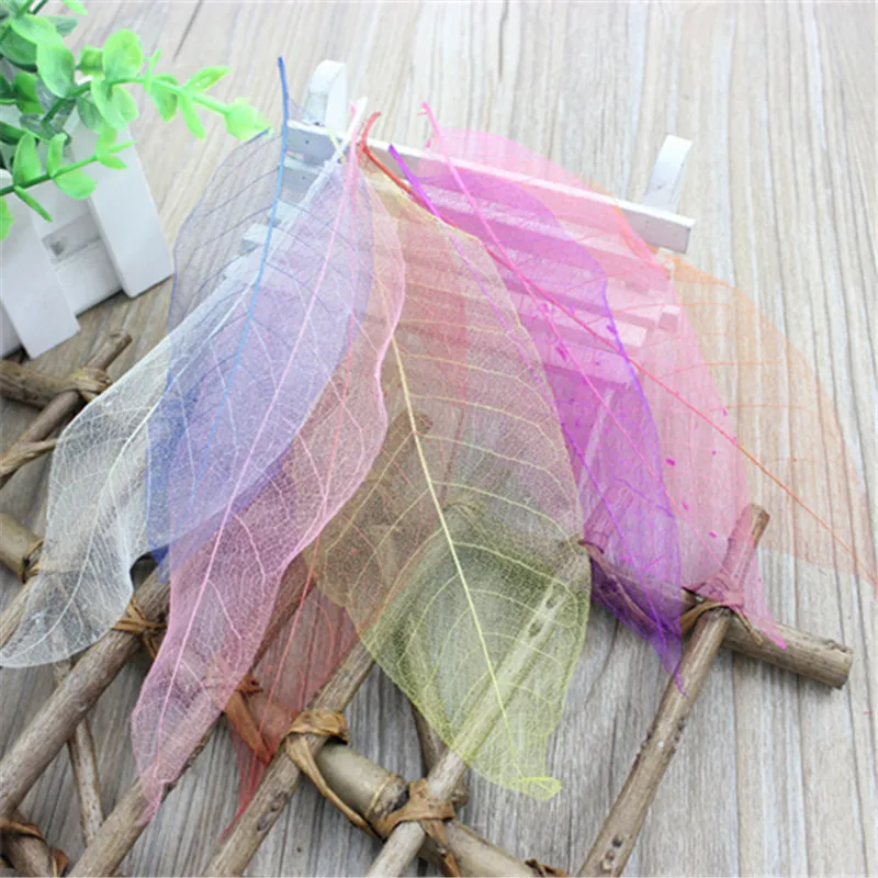 

Free shipping ZAKKA shooting furnishings forest system natural dried flowers natural magnolia leaves 30pcs