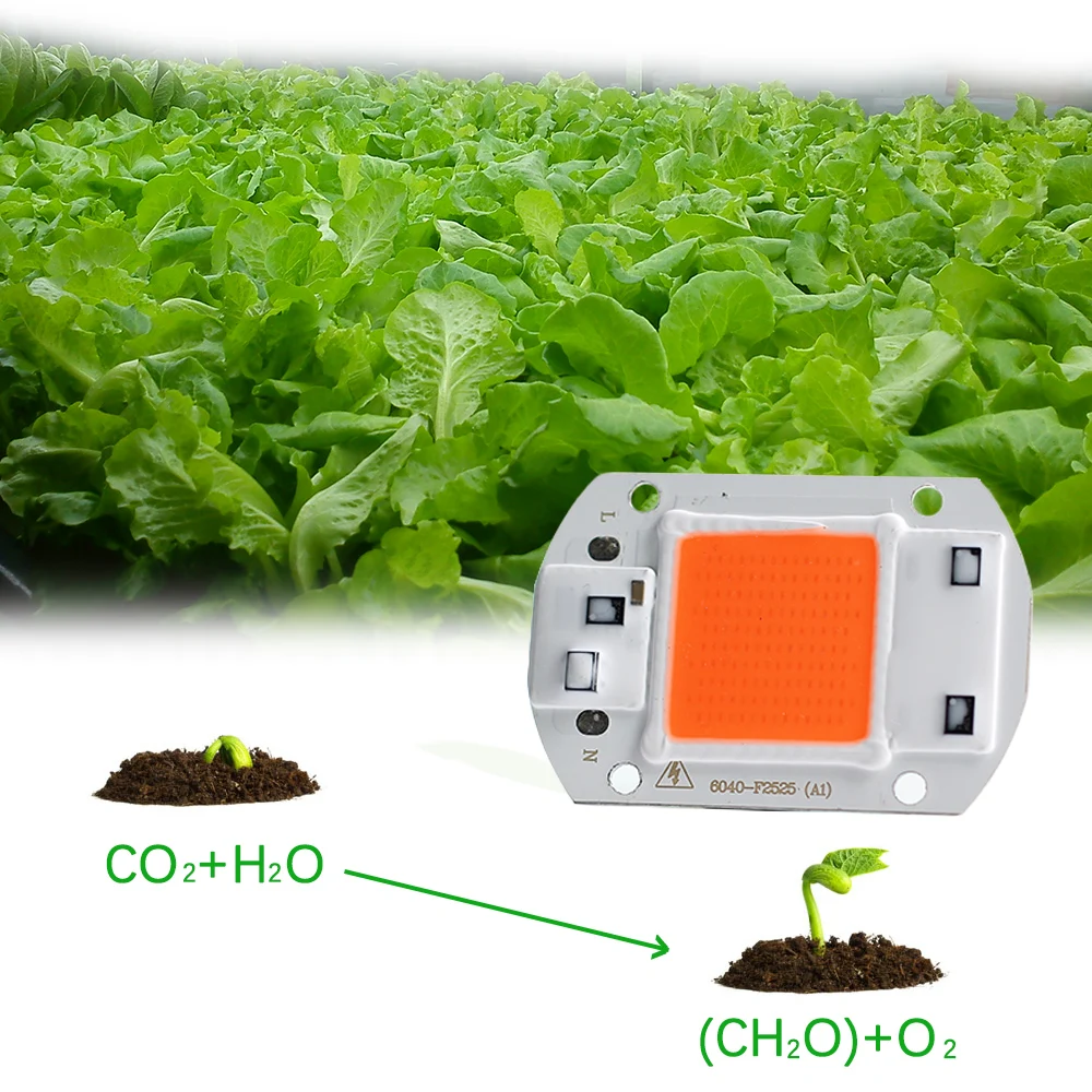 5 шт. COB светать высокой мощности 20 Вт 30 Вт 50 Вт роста растений полный спектр для DIY посева растений hydropnics парниковых 110 В/220 В