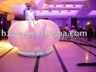

Wedding Inflatable Flower with Light