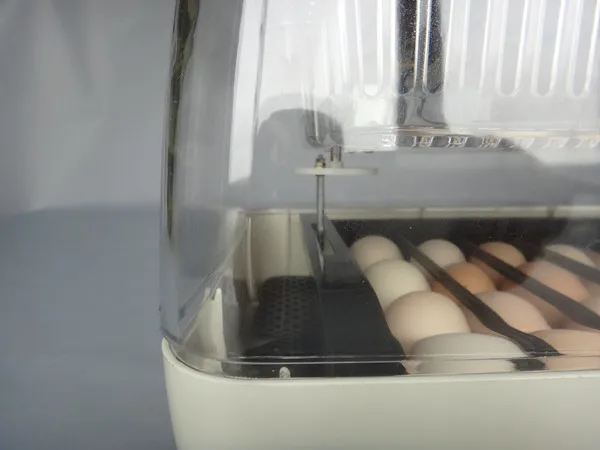 110v/220v Motors Automatic Egg Incubator Tray 24 Egg High Hatching Rate Incubator New Incubation Equipment Chicken Bird 110v/220v Motors Automatic Egg Incubator Tray 24 Egg High Hatching Rate Incubator New Incubation Equipment Chicken Bird