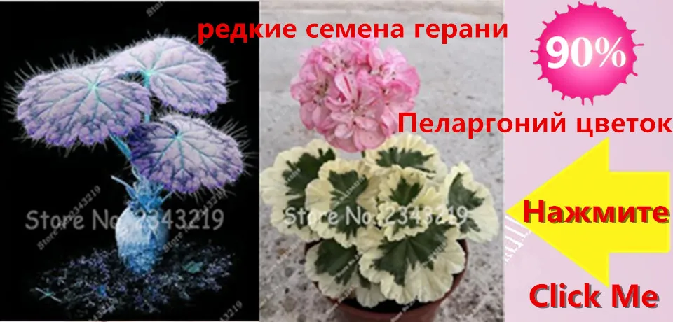 594350ffgf41da0__