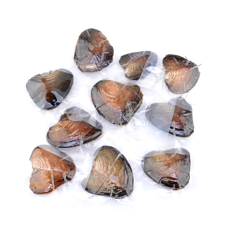 

50PCs/Lot Vacuum pack Oyster pearl Natural Beads Freshwater pearl oysters individually packaged Birthday Wedding Gift