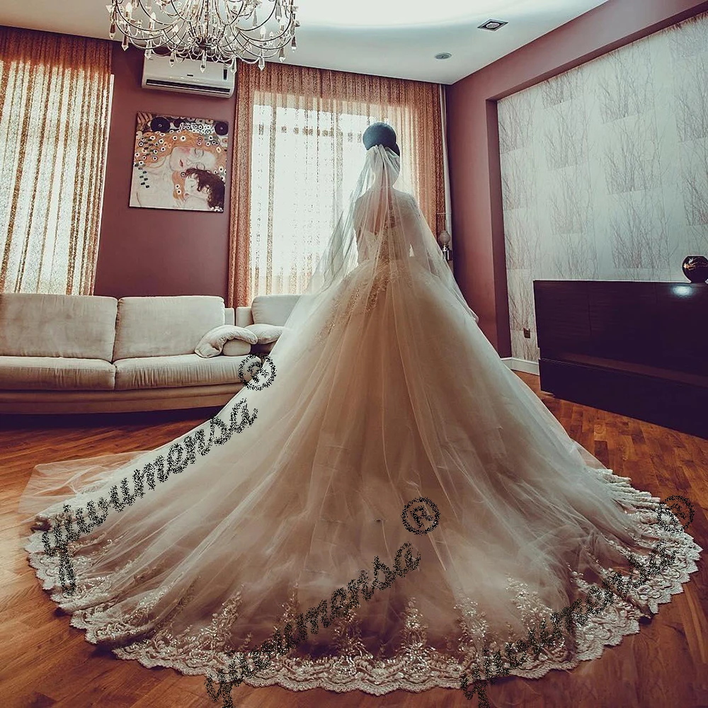 Vestidos De Noiva бальное платье свадебное платье платье с кружевными аппликациями по всей длине рукава Свадебные платья Плюс Размер Свадебные платья