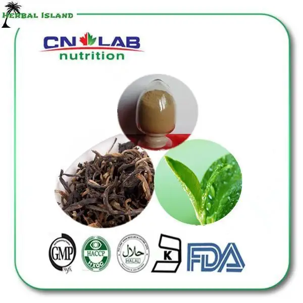 100 Natural Black Tea Extract,Black Tea Extract Powder,Black Tea