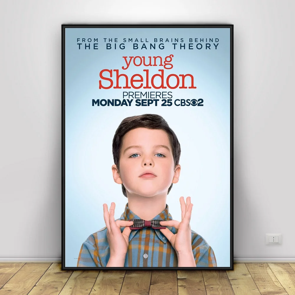 Young Sheldon Art Silk Poster Home Decor 12x18 24x36inchin Painting & Calligraphy from Home