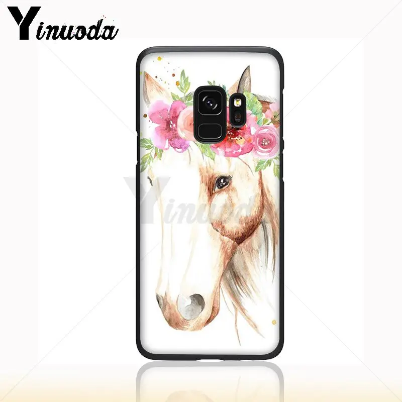 horse animal
