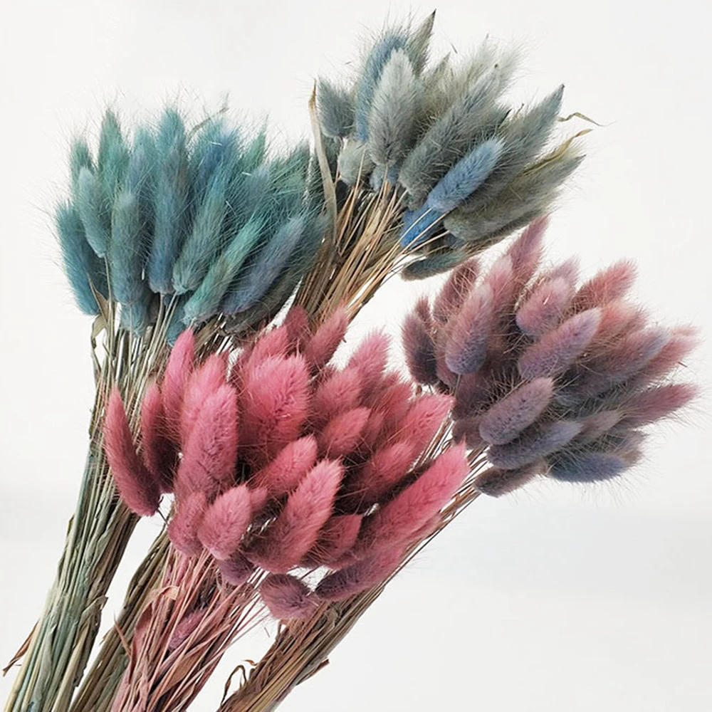 Decoration Interieure Naturelles Fleurs Sechees Bouquets Bunny Tails Lapin Queue Herbe Lagurus Ovatus Maison Mestizomarket Com