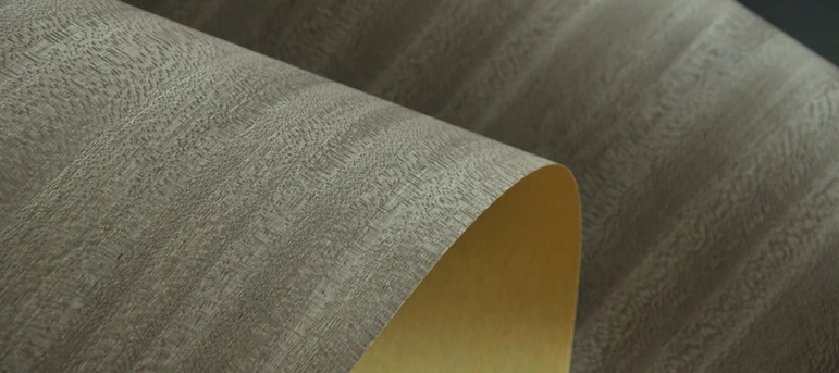 Dyed Veneer for Hotel