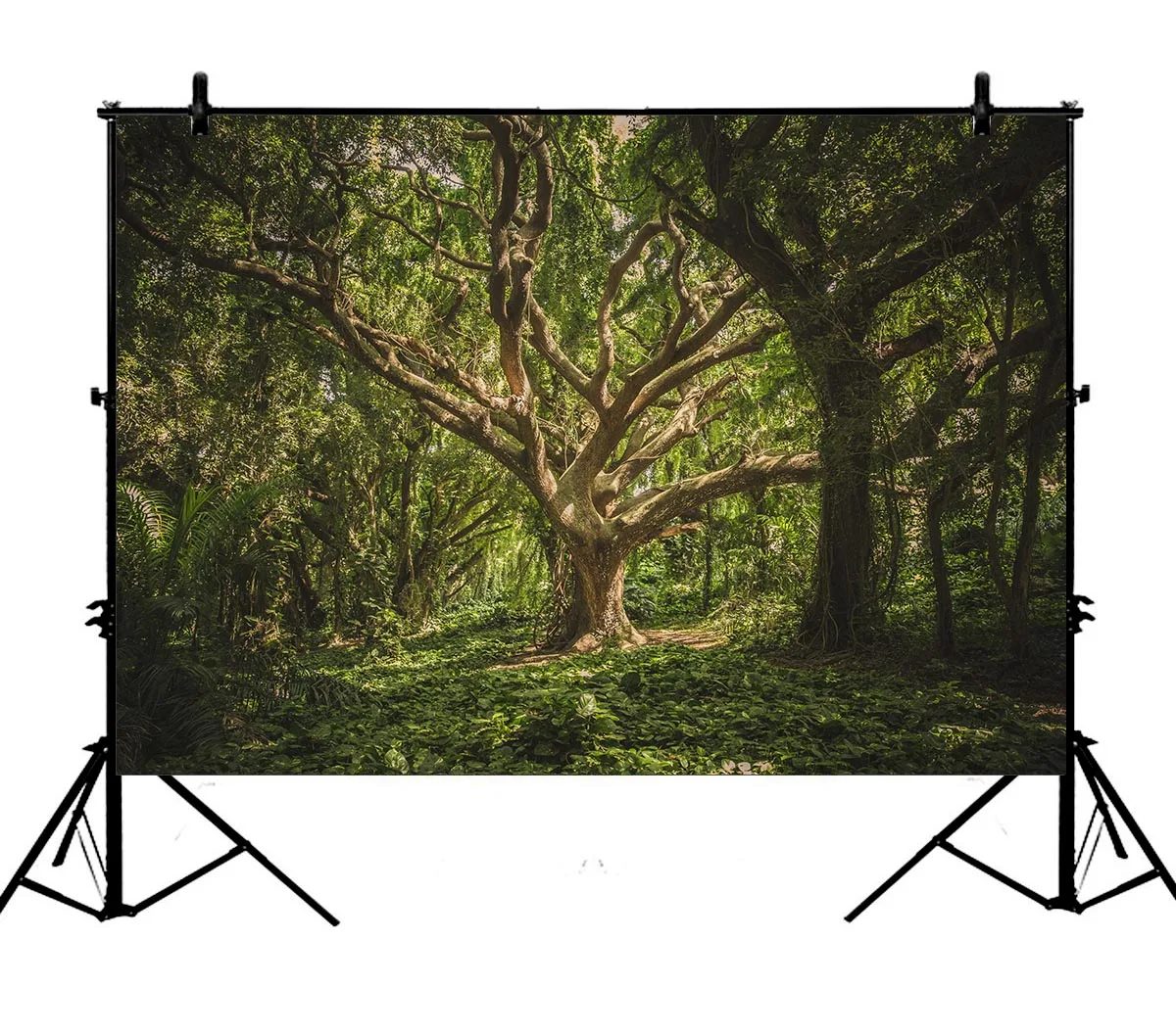 

5x7ft Green Forests Polyester Photo Background Portrait Backdrop