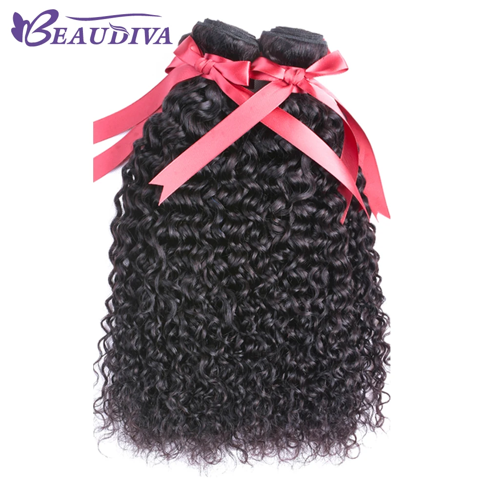 Beaudiva Curly Bundles With Lace Closure Brazilian Human Hair Bundles With Closure Remy Hair Extensions Bundles With Closure