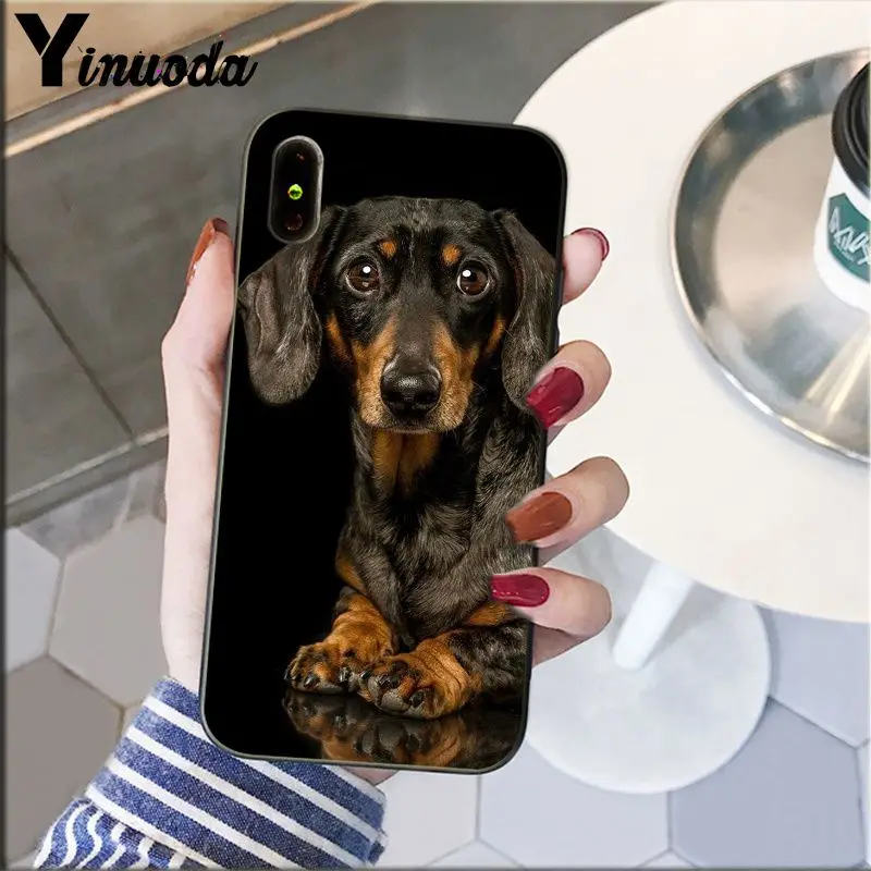 Dachshund Doberman Dog Silhouette