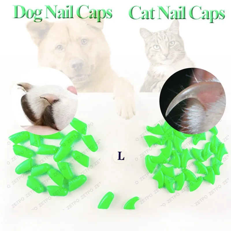 HTB1AHQBKVXXXXX_XXXXq6xXFXXXf