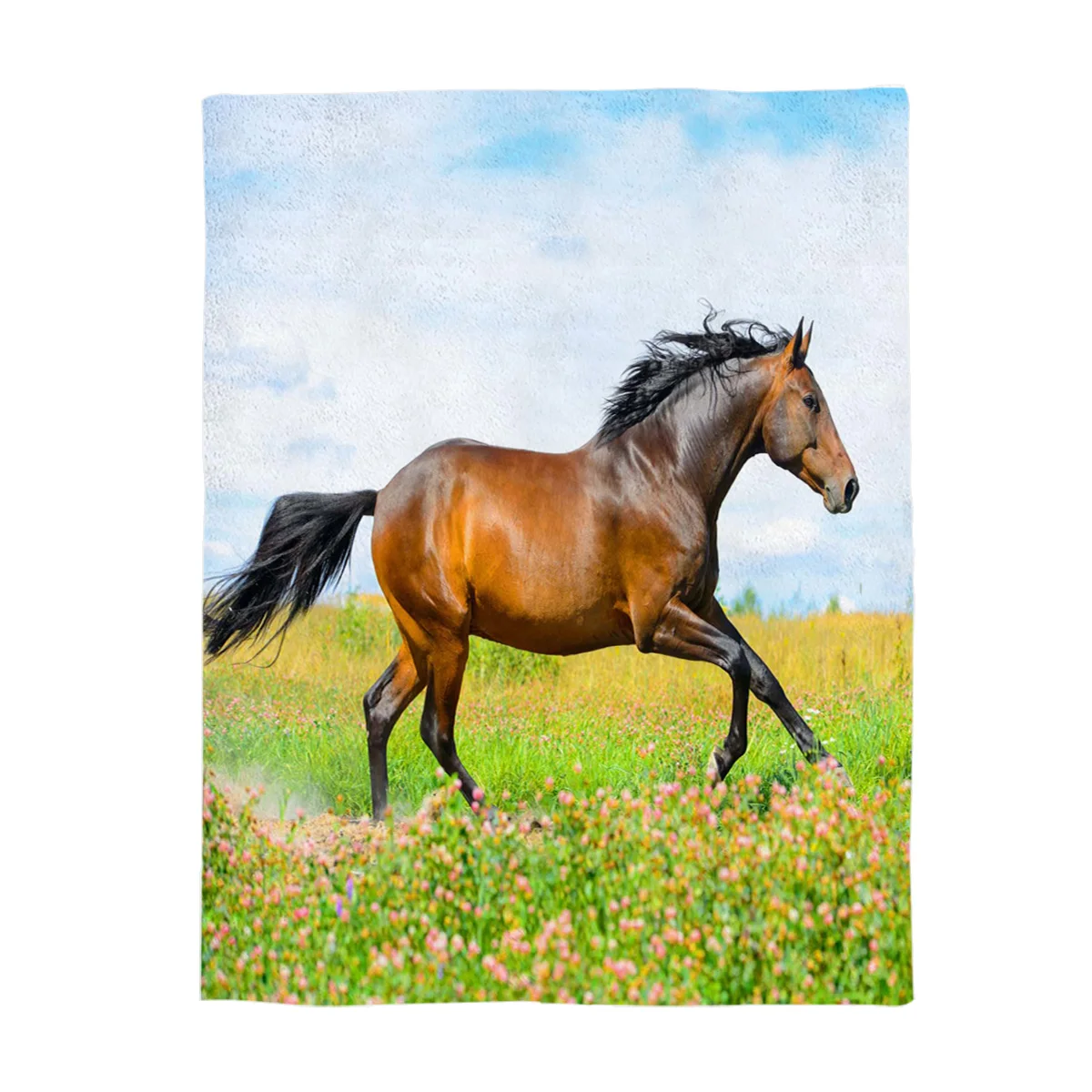 Лошади бег в пустыне одеяло мягкая фланелевая флисовая ткань мультфильм животных печатных диван дорожный плед - Цвет: LEX01145