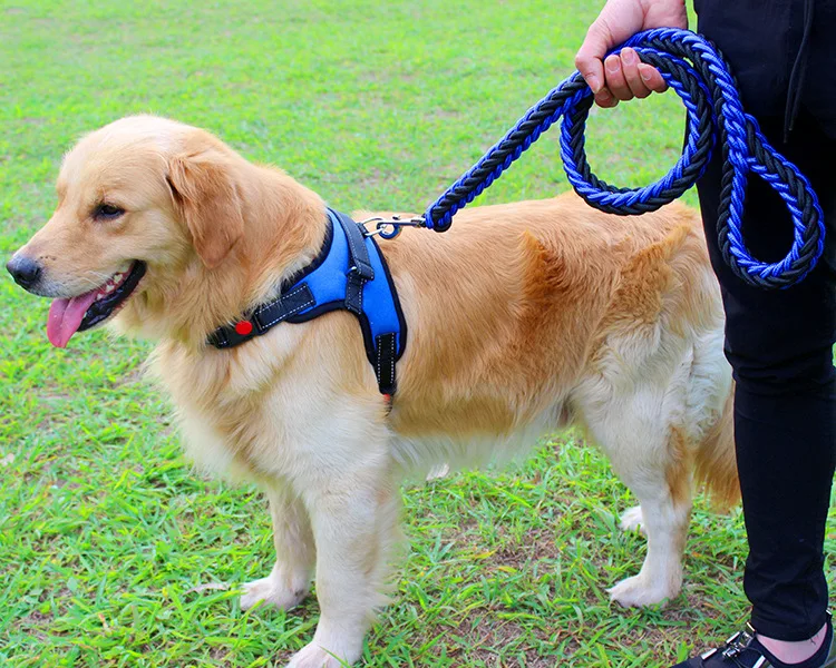 colarinho extra grande médio pequeno cão arreios