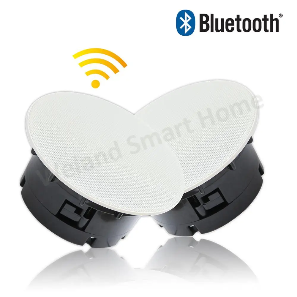 Active Wireless Loudspeaker Built In Power Supply In Ceiling