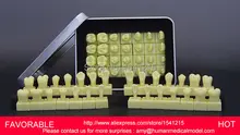 DENTURES DENTAL TEACHING MODEL TOOTH MODEL DENTAL TEETH MODEL DENTAL TOOTH ,1.2 TIMES THE TOOTH CROWN MODEL-GASEN-DEN037