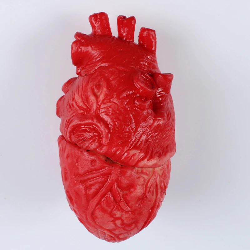 

Halloween Decoration Horror Props Bloody Hand Haunted House Party Decoration Scary Hand Finger Brain Heart